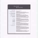 Faszinieren Lohnabrechnung Vorlage Sammlungen Von Basic Lebenslauf