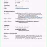 Faszinieren Lückenloser Tabellarischer Lebenslauf Lebenslauf Beispiel