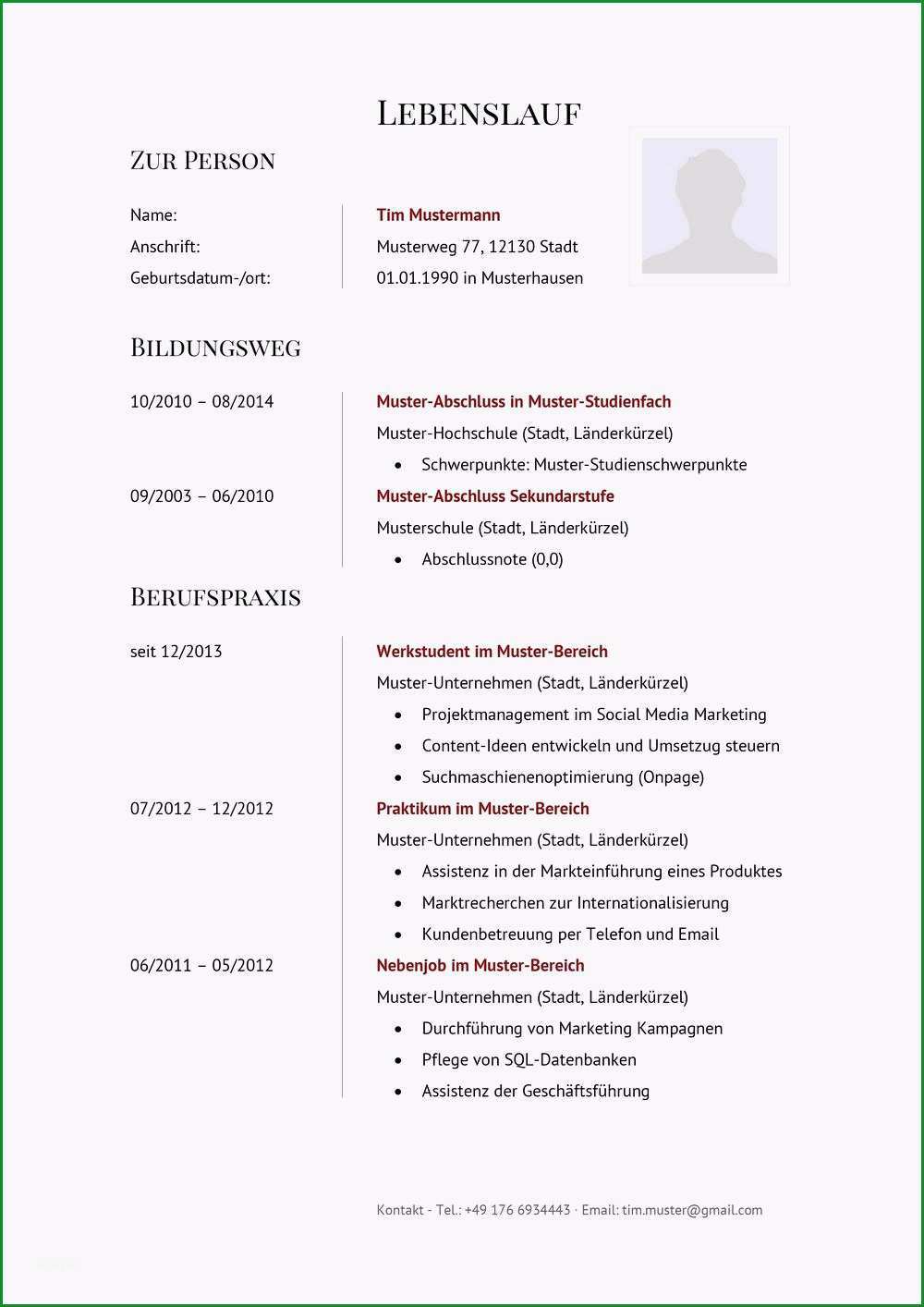 muster lebenslauf bewerbung 2015
