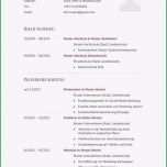 Faszinieren Neues Tabellarischer Lebenslauf Studium