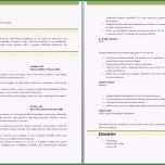 Faszinieren Newsletter Vorlage Sammlungen Von Microsoft Word