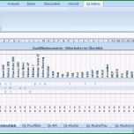 Faszinieren Personal Qualifikationsmatrix Excel 2007