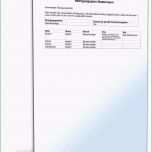 Faszinieren Protokoll Temperaturkontrolle Nachweis Vorlage Schön