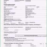 Faszinieren Reisevollmacht Muster