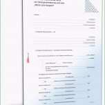 Faszinieren Schuldanerkenntnis Mit Zahlungsvereinbarung