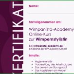 Faszinieren Schulung Wimpernverlängerung Mit Wimpanista Academy