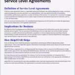 Faszinieren Service Level Agreement Muster