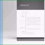 Faszinieren Tabellarischer Lebenslauf Mit Anschreiben Als Vorlage