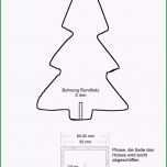 Faszinieren Tannenbaum