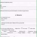 Faszinieren Testament Nichteheliche Lebensgemeinschaft Muster