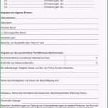 Faszinieren Unglaubliche Mieterselbstauskunft Vorlage 2016