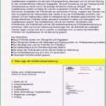 Faszinieren Verfahrensanweisung Muster