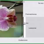 Faszinieren Vorlage Für Eine Postkarte Din A6 Für Adobe Indesign