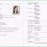 Faszinieren Vorlage Lebenslauf Tabellarischer Lebenslauf Schweiz