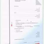 Faszinieren Vorlage organigramm Zum Ausfüllen Gut 7 Bewerbung