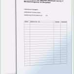 Faszinieren Vorlage Zur Dokumentation Der Tglichen Arbeitszeit