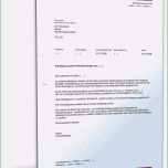 Großartig 10 Arbeitszeugnis Kündigung In Probezeit Vorlage