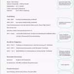 Großartig 10 Praktikumsbewerbung Muster Studenten