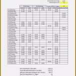 Großartig 11 Stundenzettel Excel Vorlage