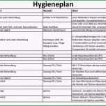 Großartig 12 Hygieneplan Vorlage