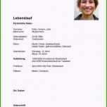 Großartig 12 Lebenslauf Vorlage Schule