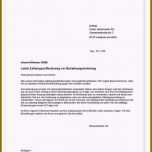 Großartig 12 Letzte Mahnung Vorlage