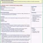 Großartig 12 Steckbrief Erstellen