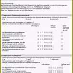 Großartig 13 Fragebogen Erstellen Vorlage