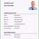Großartig 13 Lebenslauf Vorlage Schweiz 2018