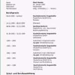 Großartig 13 Vorlagen Muster Künstlerischer Lebenslauf Einfacher