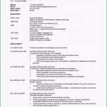 Großartig 15 Beispiel Amerikanischer Lebenslauf Resume Muster