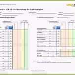 Großartig 15 Fragebogen Excel Vorlage