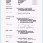 Großartig 15 Tabellarischer Lebenslauf Muster 2016