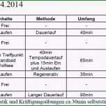 Großartig 15 Trainingsplan Pferd Vorlage