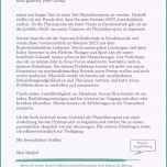 Großartig 16 Bewerbung Als Tagesmutter Muster