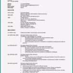 Großartig 16 Cv Englisch Beispiel