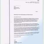 Großartig 16 Werbebrief Vorlage Neukundengewinnung