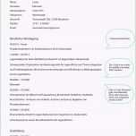 Großartig 18 Lebenslauf Nach Elternzeit Muster