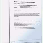 Großartig 20 Arbeitsvertrag Minijob Muster