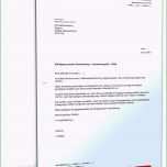 Großartig 20 Kündigung Versicherung Vorlage Word