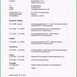 Großartig 20 Tabellarischer Lebenslauf Englisch Muster