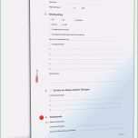 Großartig 20 Unfallbericht Vorlage