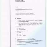 Großartig 49 Finanzielle Burgschaft Vorlage Laurencopeland