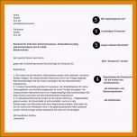 Großartig 8 Einspruch Finanzamt Muster