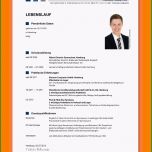 Großartig 8 Lebenslauf Ausbildung