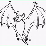 Großartig Ausmalbilder Fledermaus Malvorlagen Ausdrucken 2