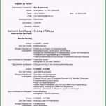 Großartig Cv Europass Vorlage