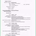 Großartig Cv Europass Vorlage