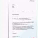 Großartig D1 Handyvertrag Kundigen Vorlage Die Fabelhaften Ruhestand