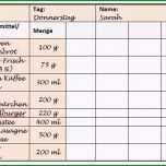Großartig Das Ernährungstagebuch